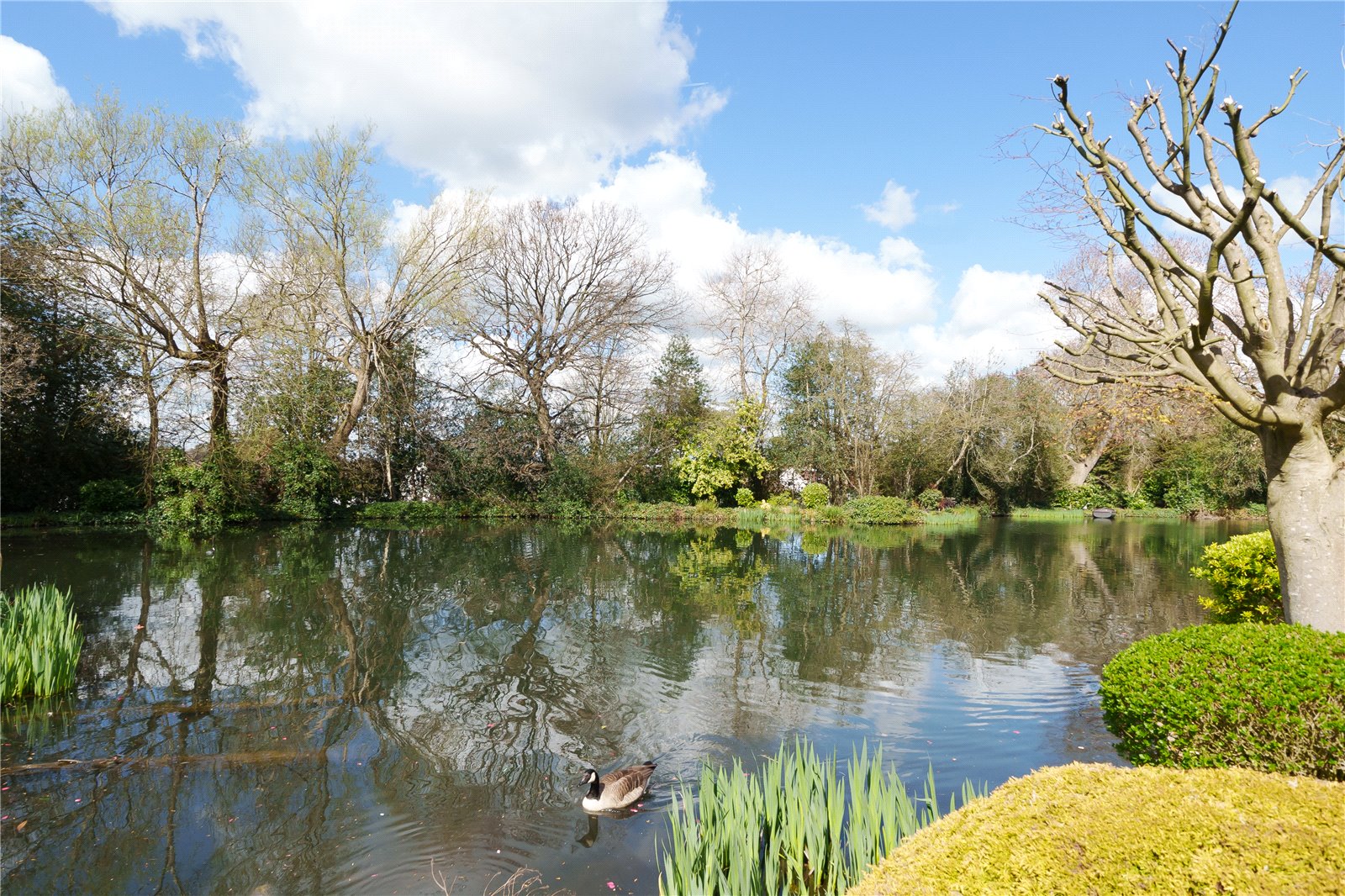 3 bed terraced house for sale in Baxendale, Whetstone 7