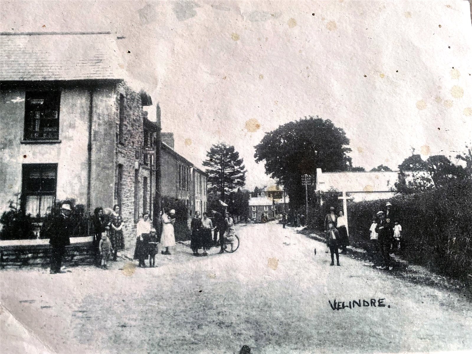 3 bed semi-detached bungalow for sale in Dre-Fach Felindre, Carmarthenshire 11