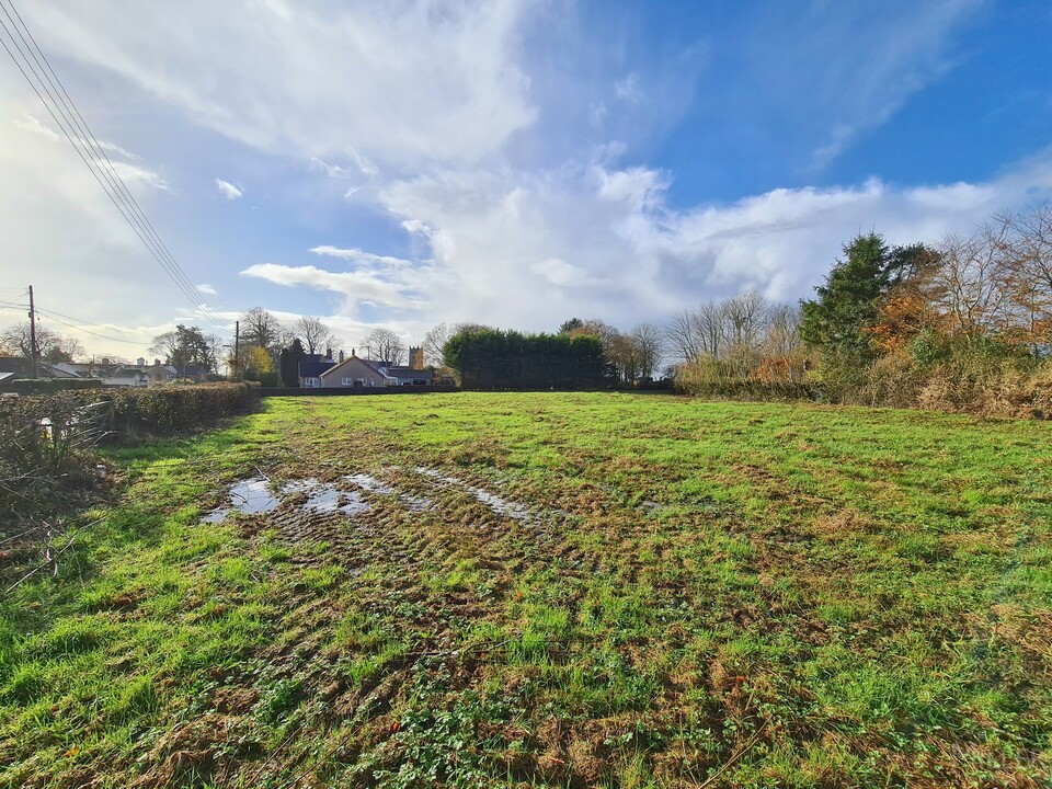 Land for sale in Halwill, Beaworthy  - Property Image 5