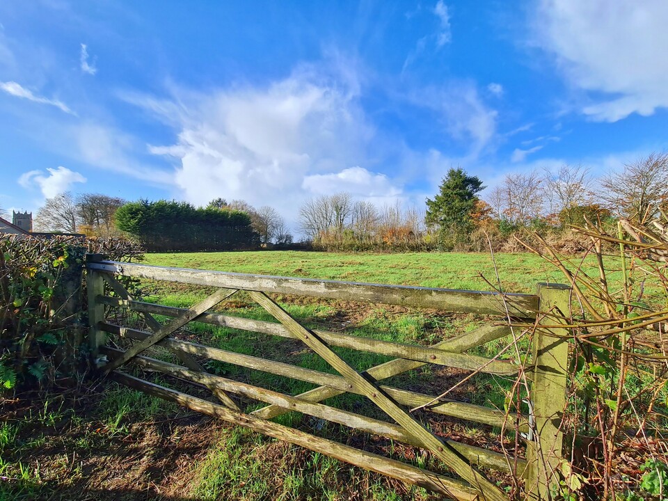 Land for sale in Halwill, Beaworthy  - Property Image 6
