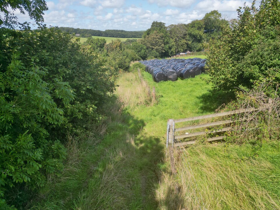 Land for sale in Lifton Down, Launceston  - Property Image 6