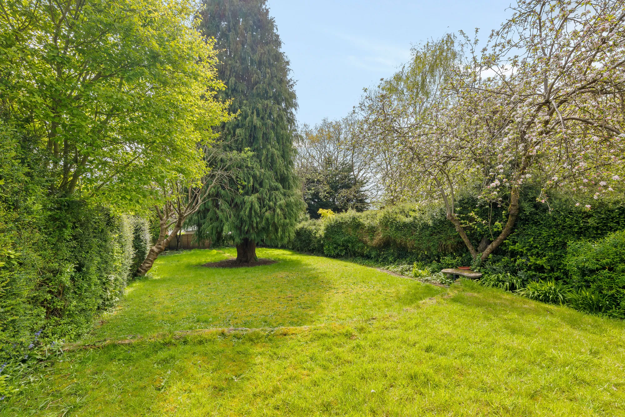 4 bed house for sale in Greville Avenue, South Croydon  - Property Image 6