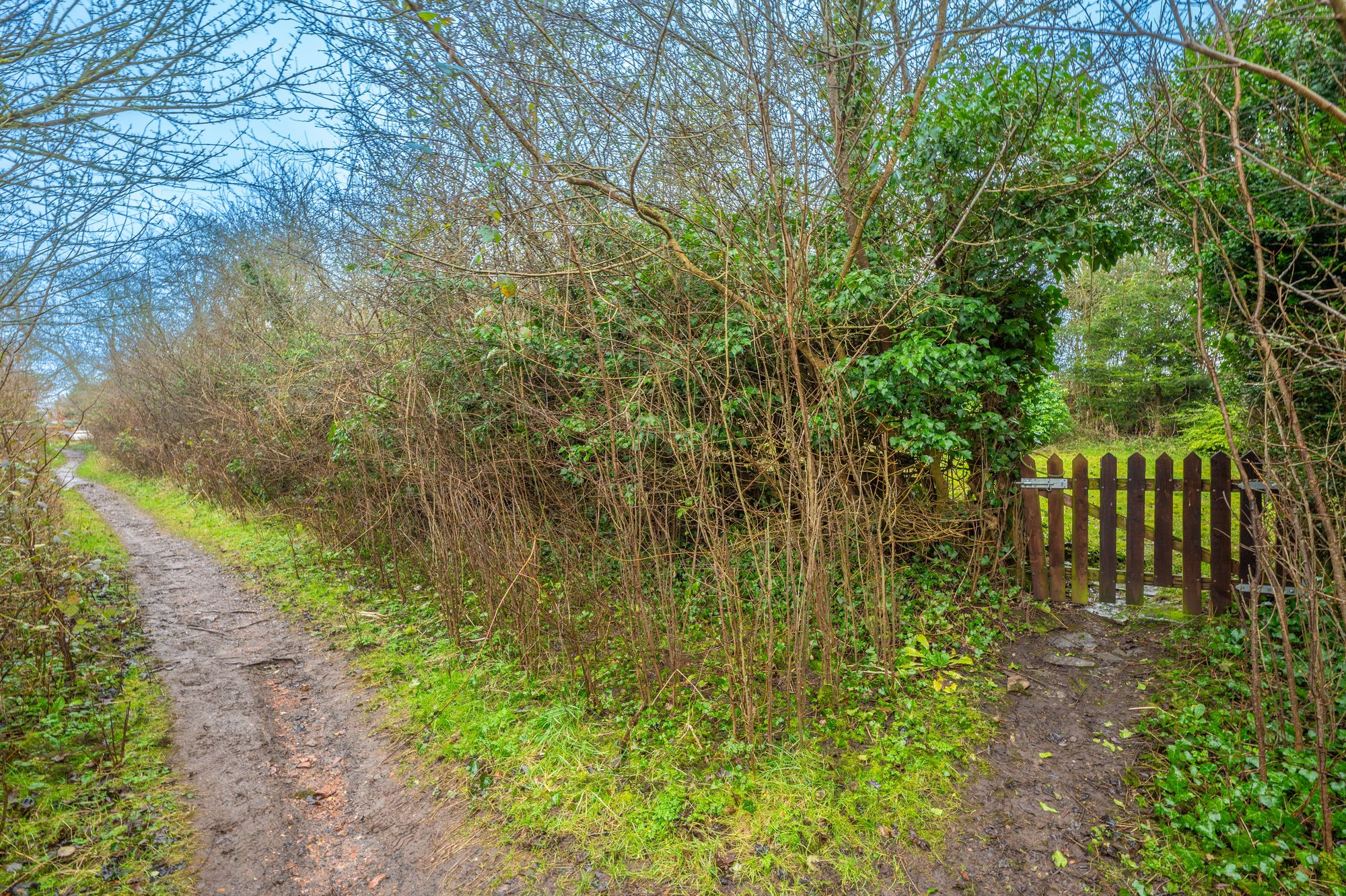 2 bed semi-detached cottage for sale in Ash Lane, Stratford-Upon-Avon  - Property Image 16