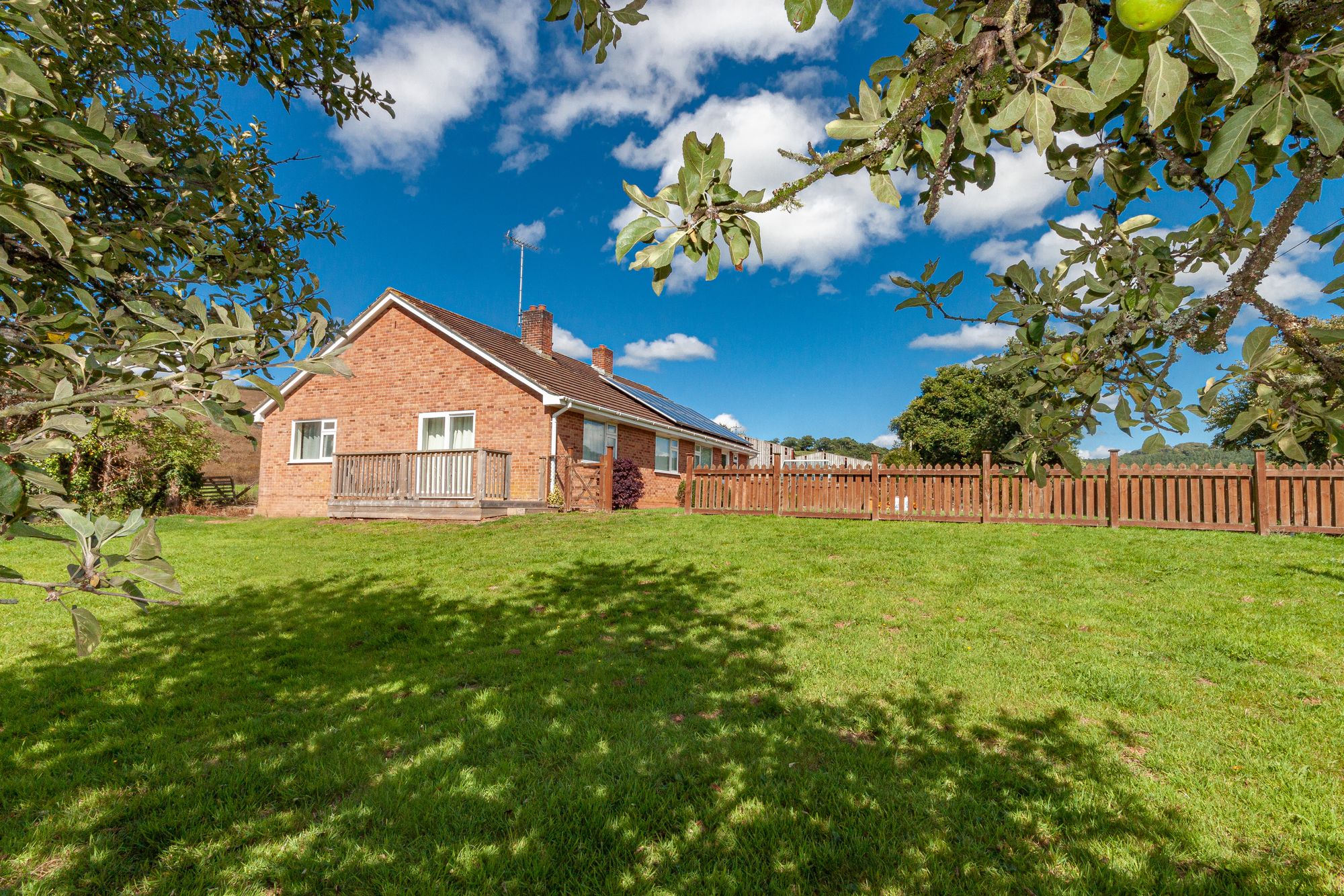 3 bed detached bungalow to rent in Cheriton Fitzpaine, Crediton  - Property Image 4