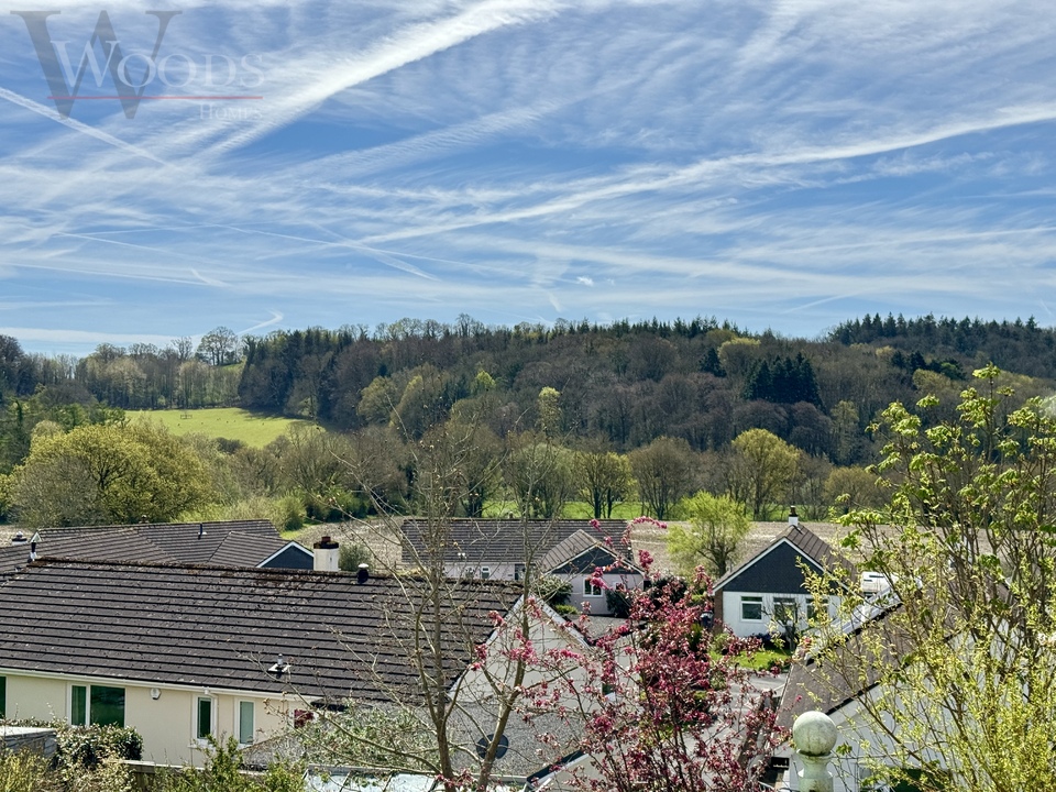 3 bed semi-detached house for sale in Staverton, Totnes  - Property Image 16