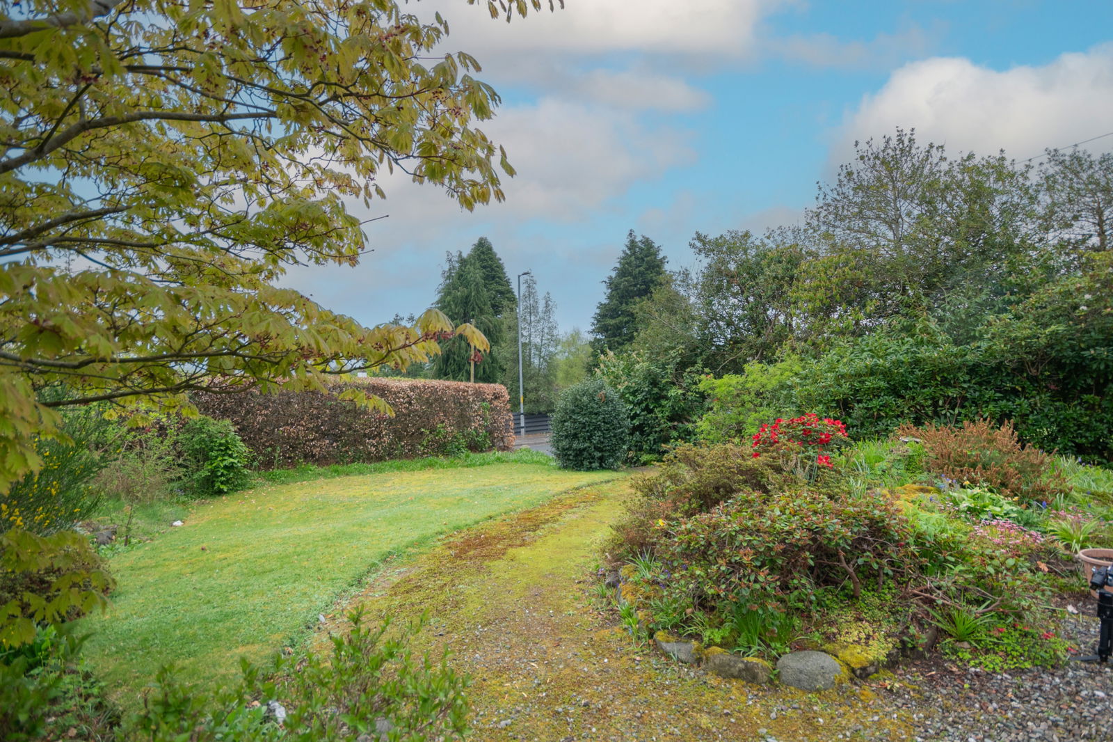 4 bed ground floor flat for sale in Perth Road, Crieff  - Property Image 15