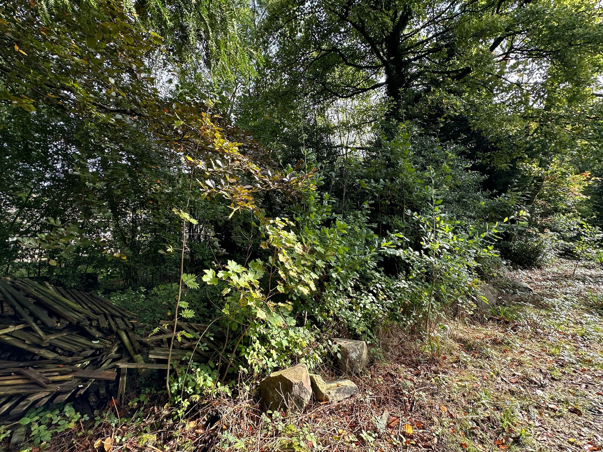 For sale in Huddersfield Road, Holmfirth  - Property Image 9