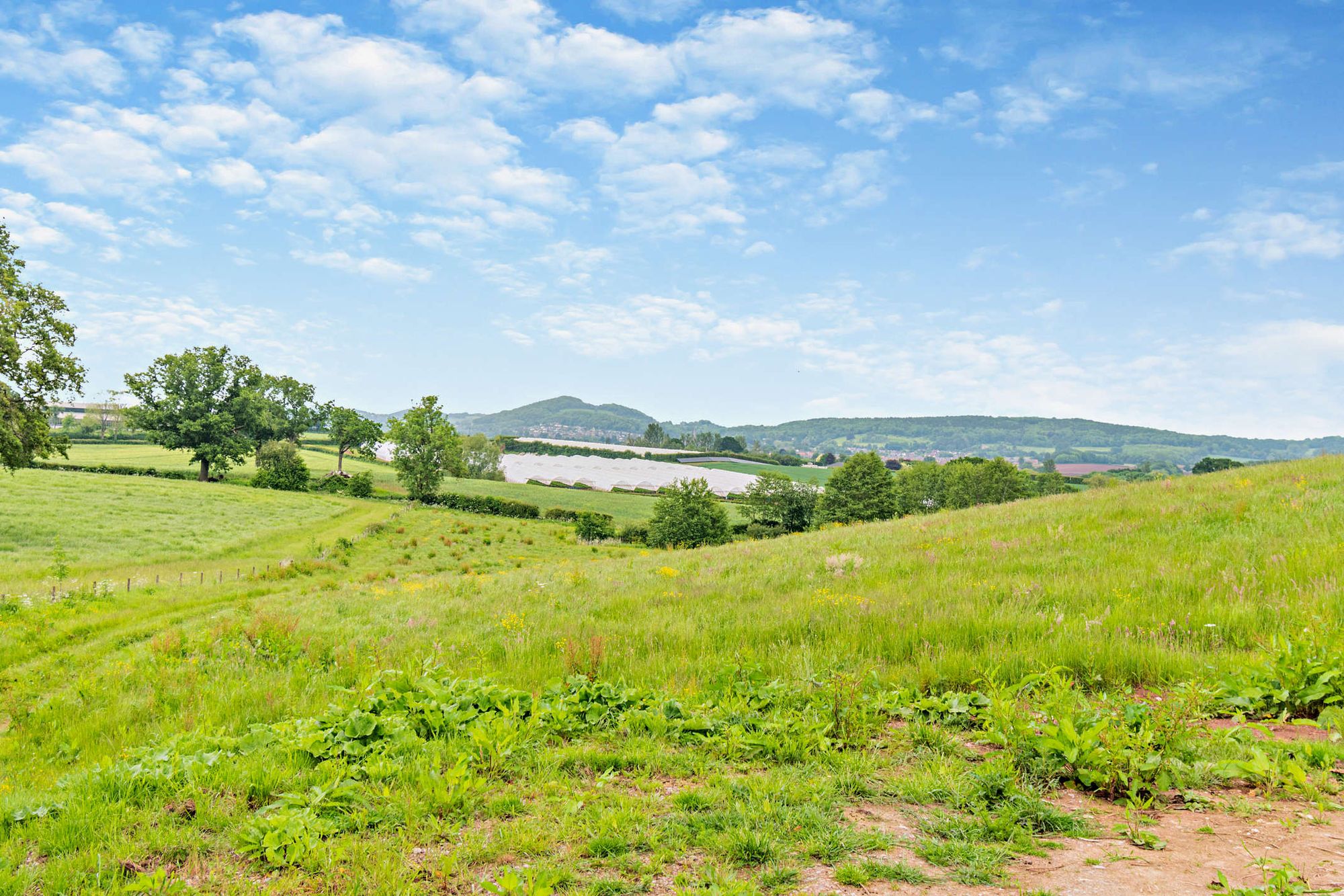 Equestrian facility for sale in Leddington, Ledbury  - Property Image 20