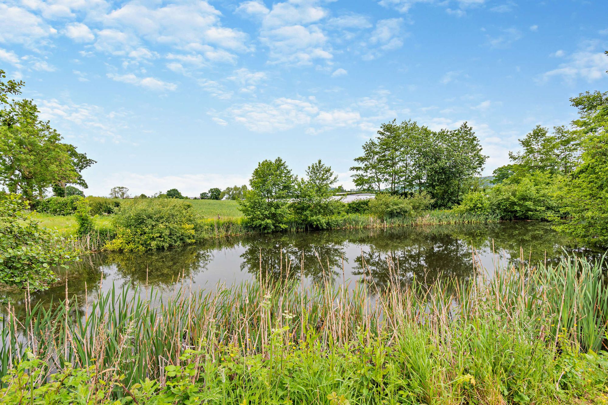 Equestrian facility for sale in Leddington, Ledbury  - Property Image 21