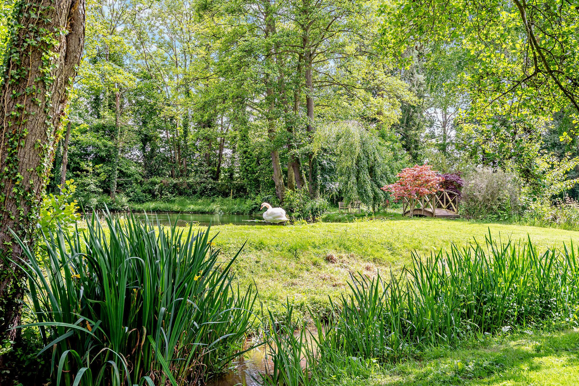 14 bed detached house for sale in Phocle Green, Ross-On-Wye  - Property Image 30