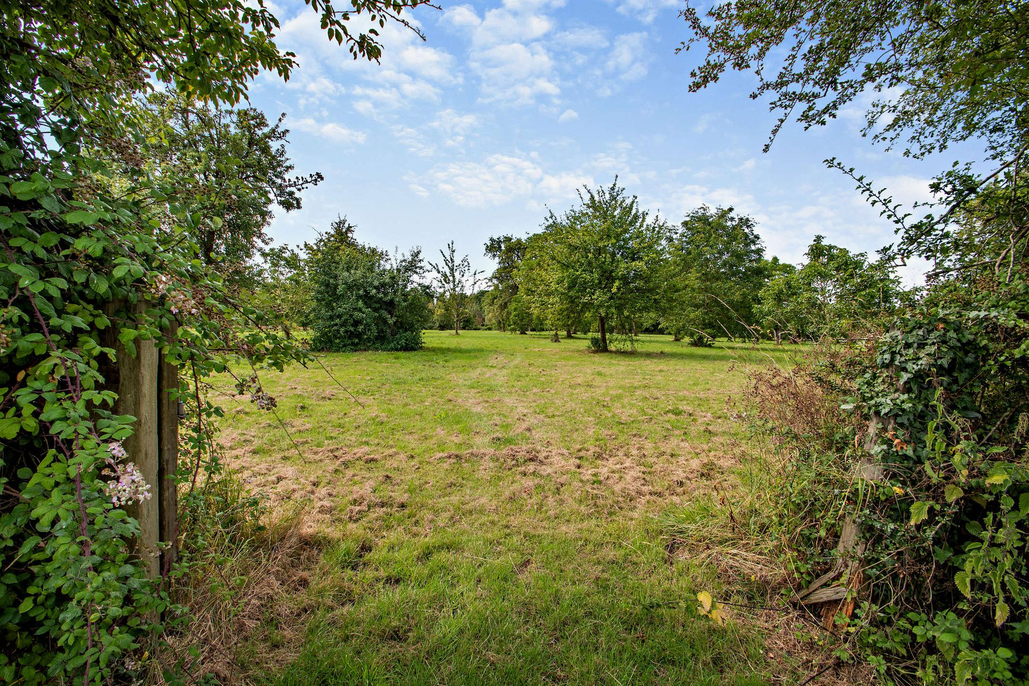 6 bed detached house for sale in Cutnall Green, Droitwich  - Property Image 37