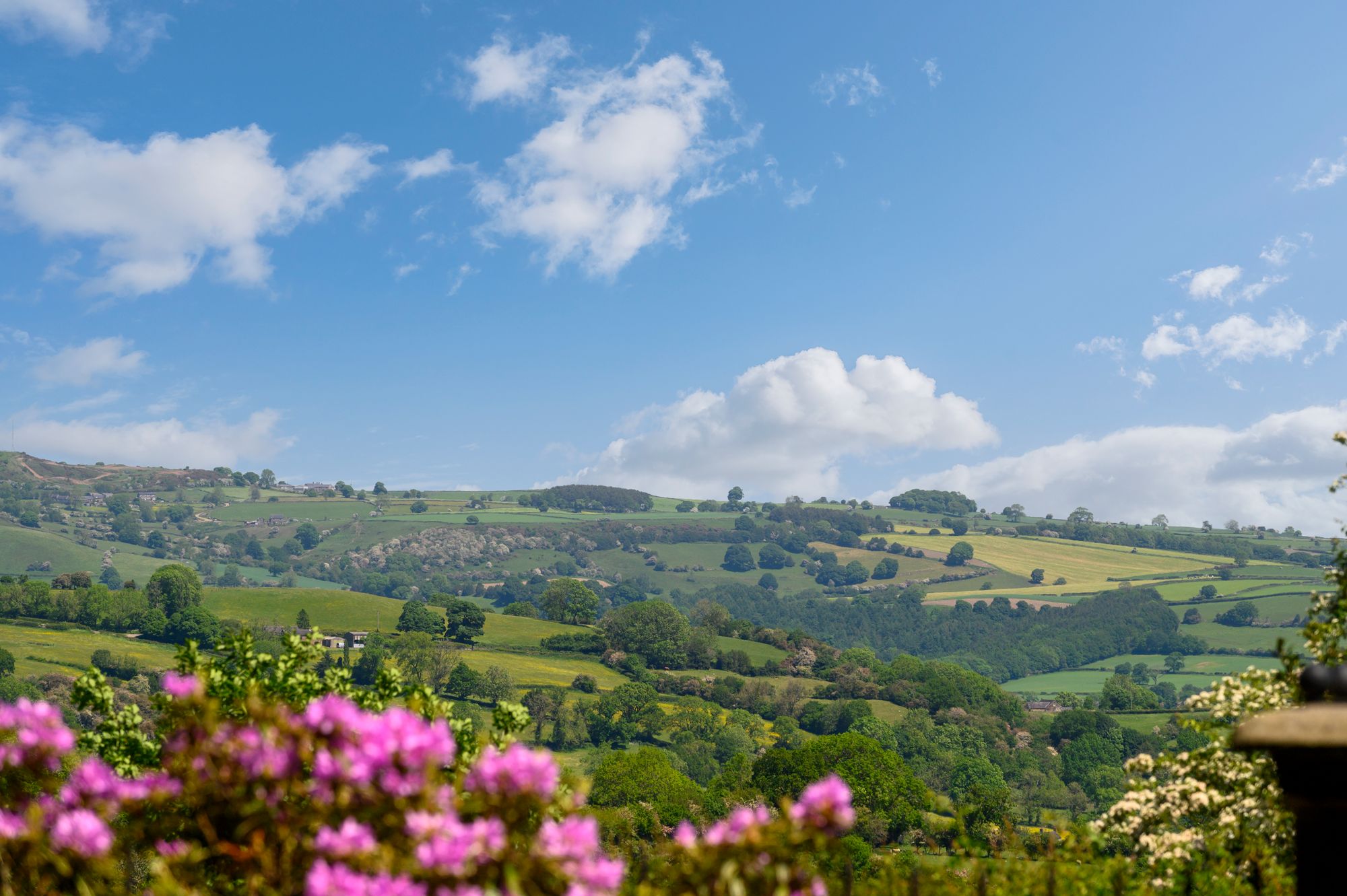 4 bed house for sale in The Richmond, Derbyshire  - Property Image 3