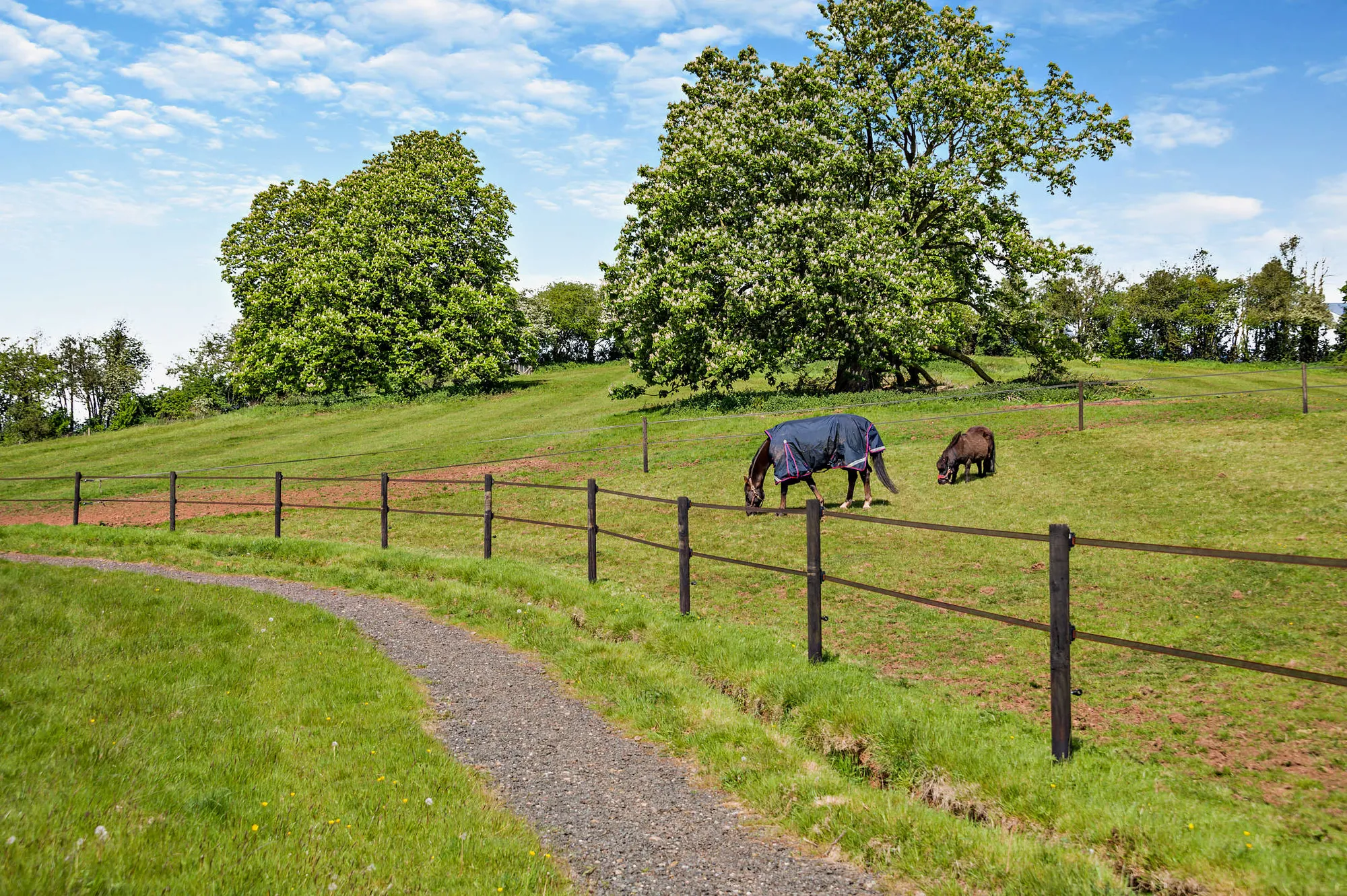 Equestrian facility for sale in Netherton Lane, Stourport-On-Severn  - Property Image 47