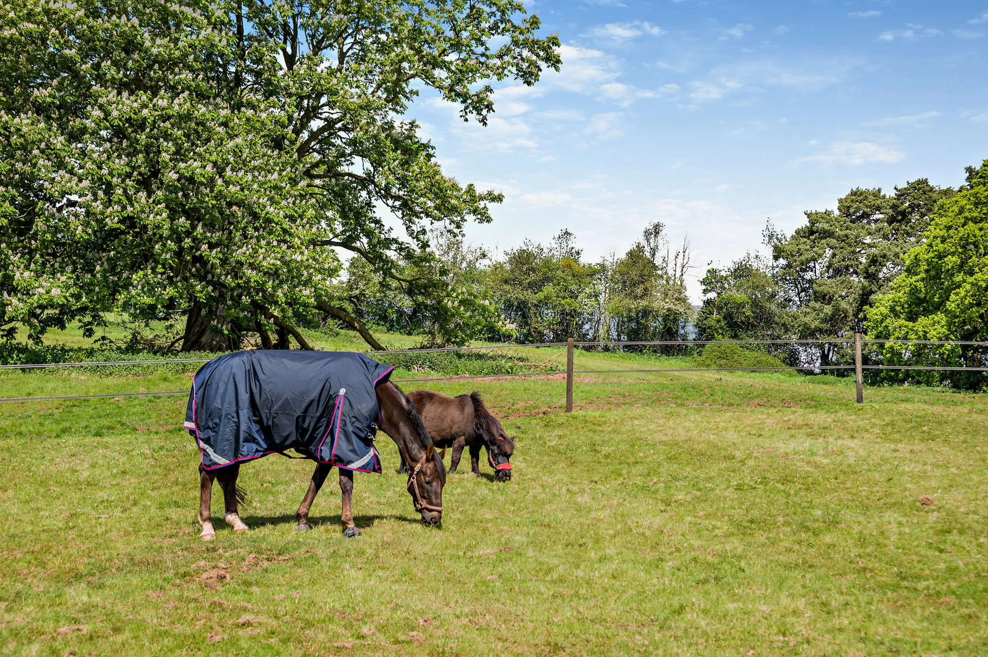 Equestrian facility for sale in Netherton Lane, Stourport-On-Severn  - Property Image 41