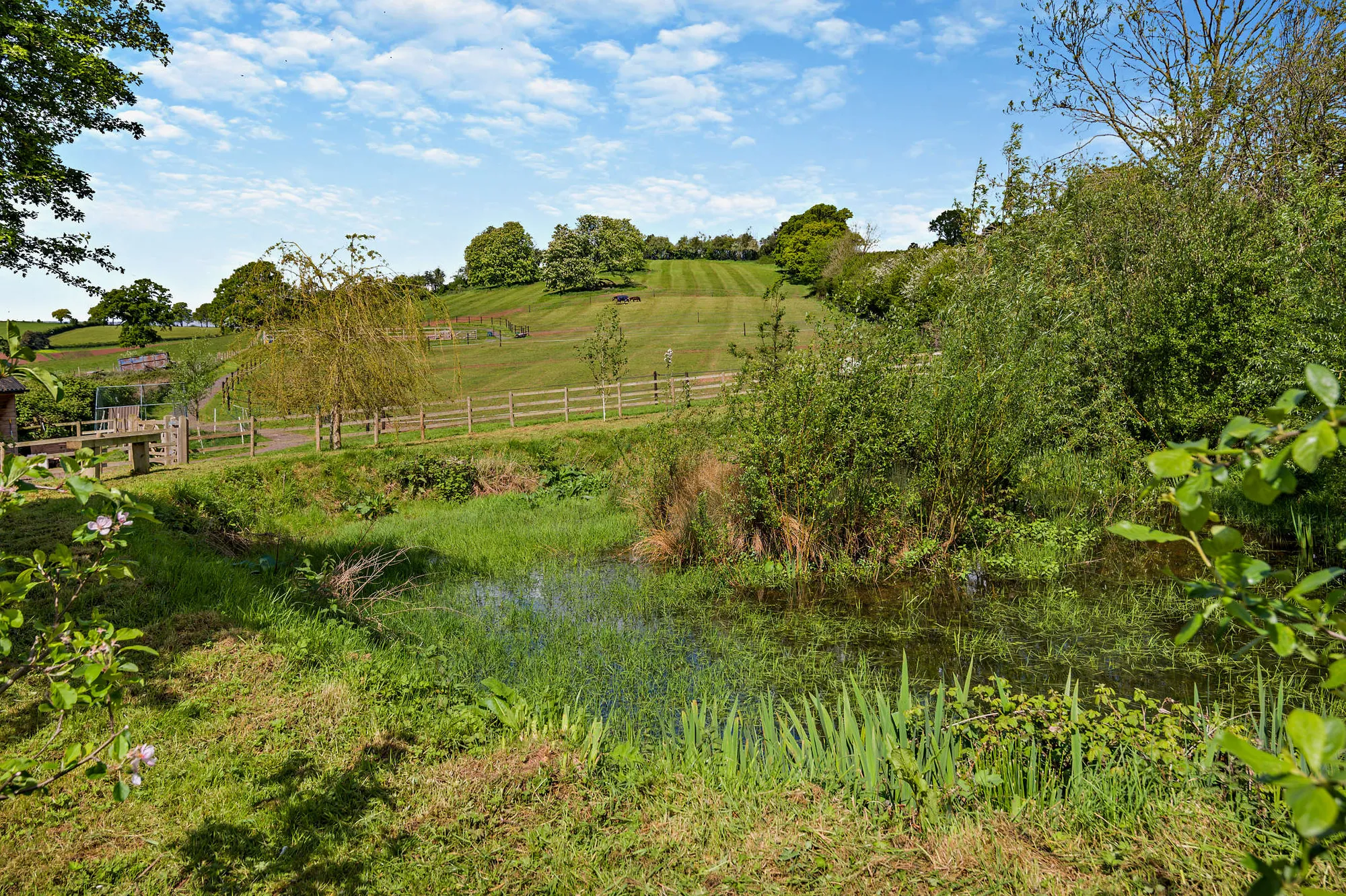 Equestrian facility for sale in Netherton Lane, Stourport-On-Severn  - Property Image 48