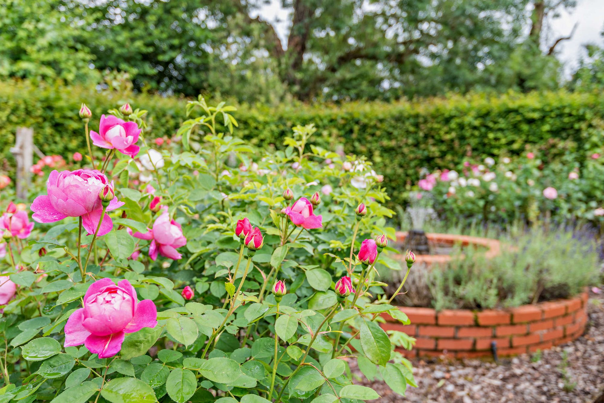 6 bed detached cottage for sale in Earls Common Road, Redditch  - Property Image 26