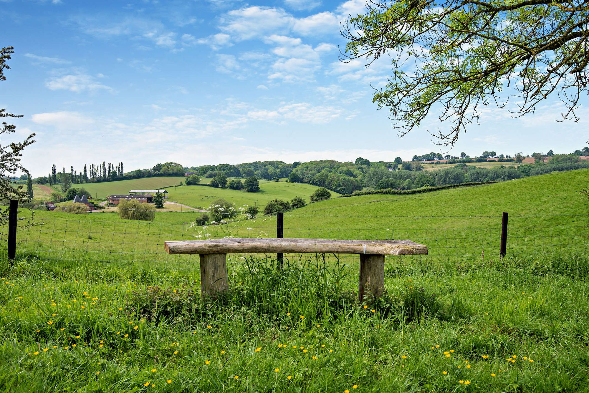 Equestrian facility for sale in Clifton-On-Teme, Worcester  - Property Image 21