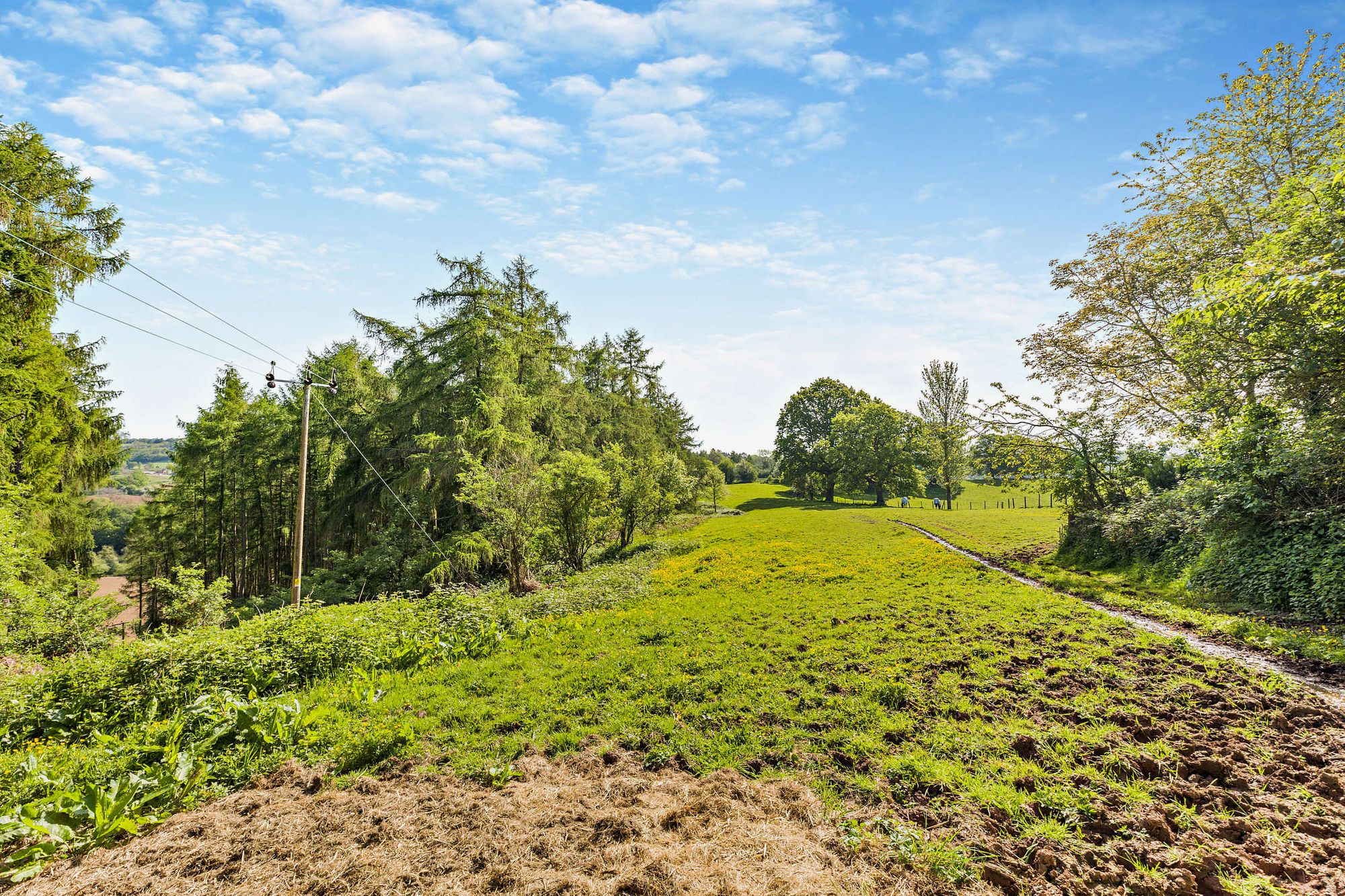 Equestrian facility for sale in Clifton-On-Teme, Worcester  - Property Image 30