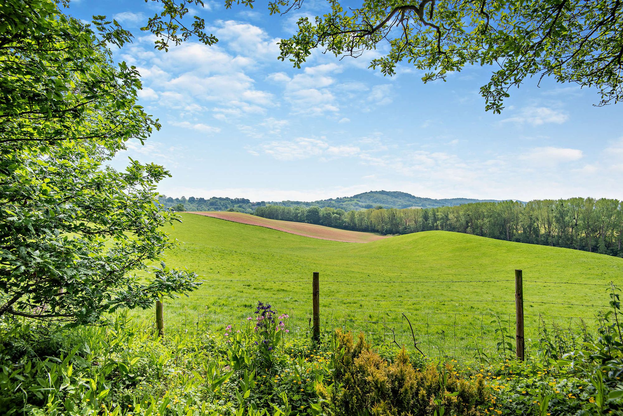 Equestrian facility for sale in Clifton-On-Teme, Worcester  - Property Image 37