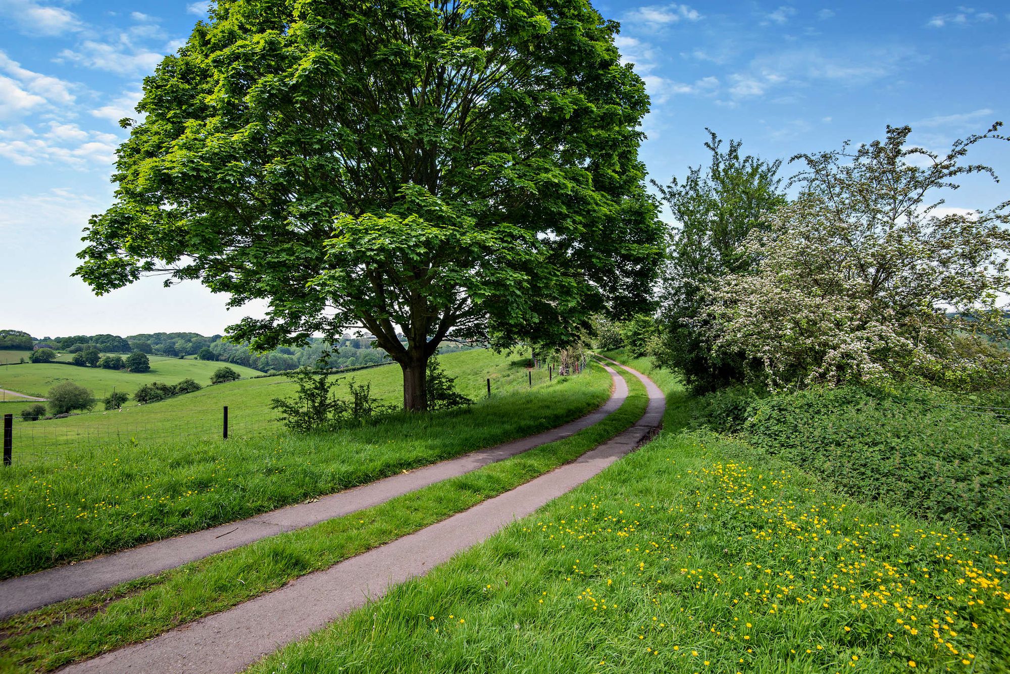 Equestrian facility for sale in Clifton-On-Teme, Worcester  - Property Image 24