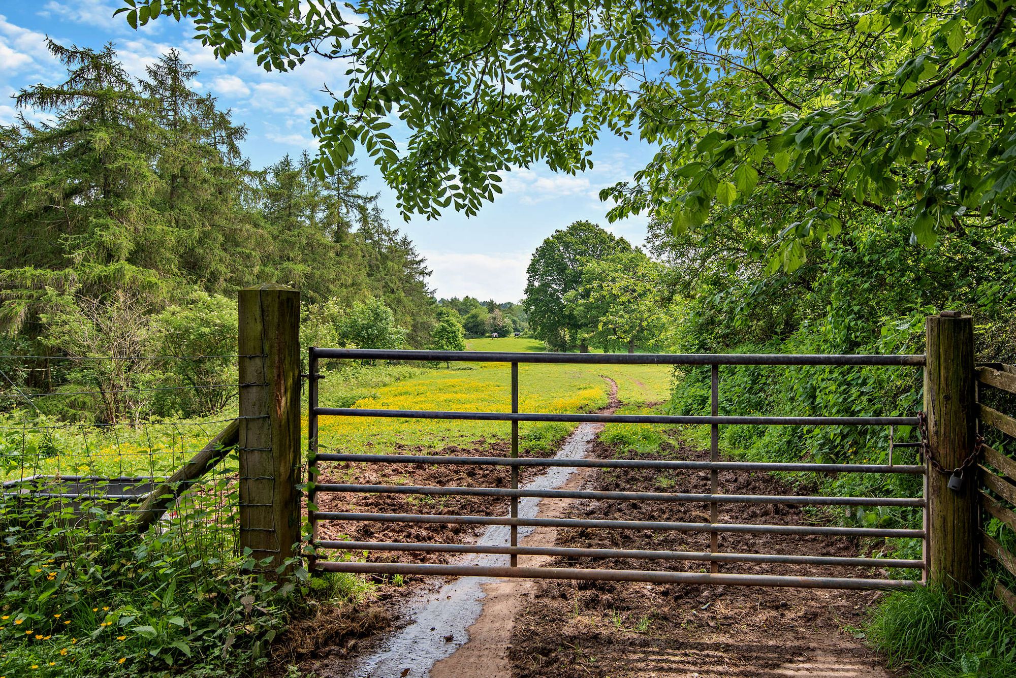 5 bed for sale in Clifton-On-Teme, Worcester  - Property Image 30