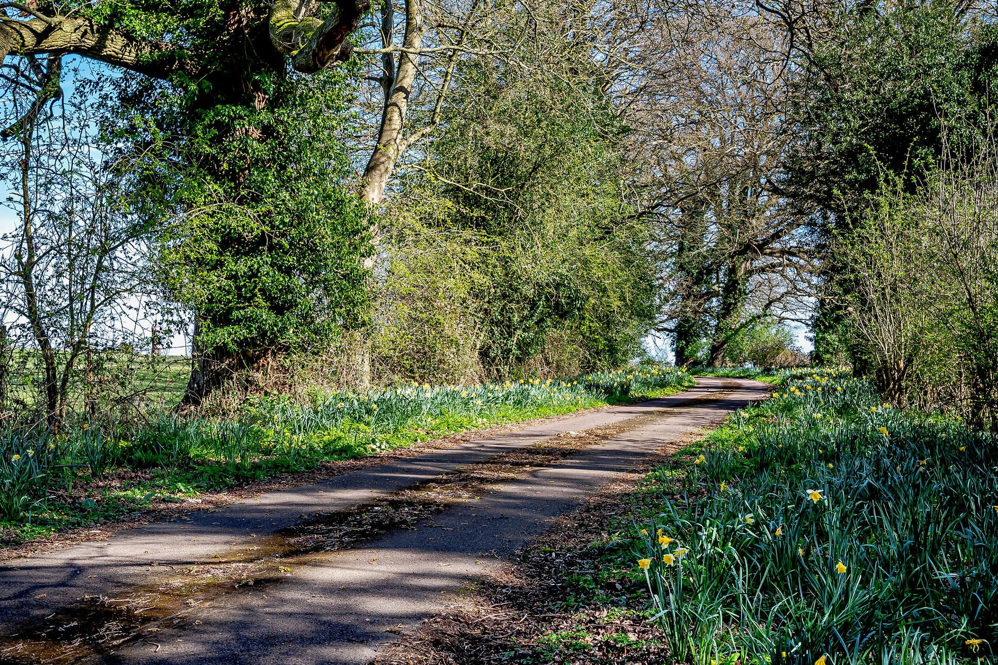 5 bed house for sale in Bromyard Road, Crown East, WR2 19