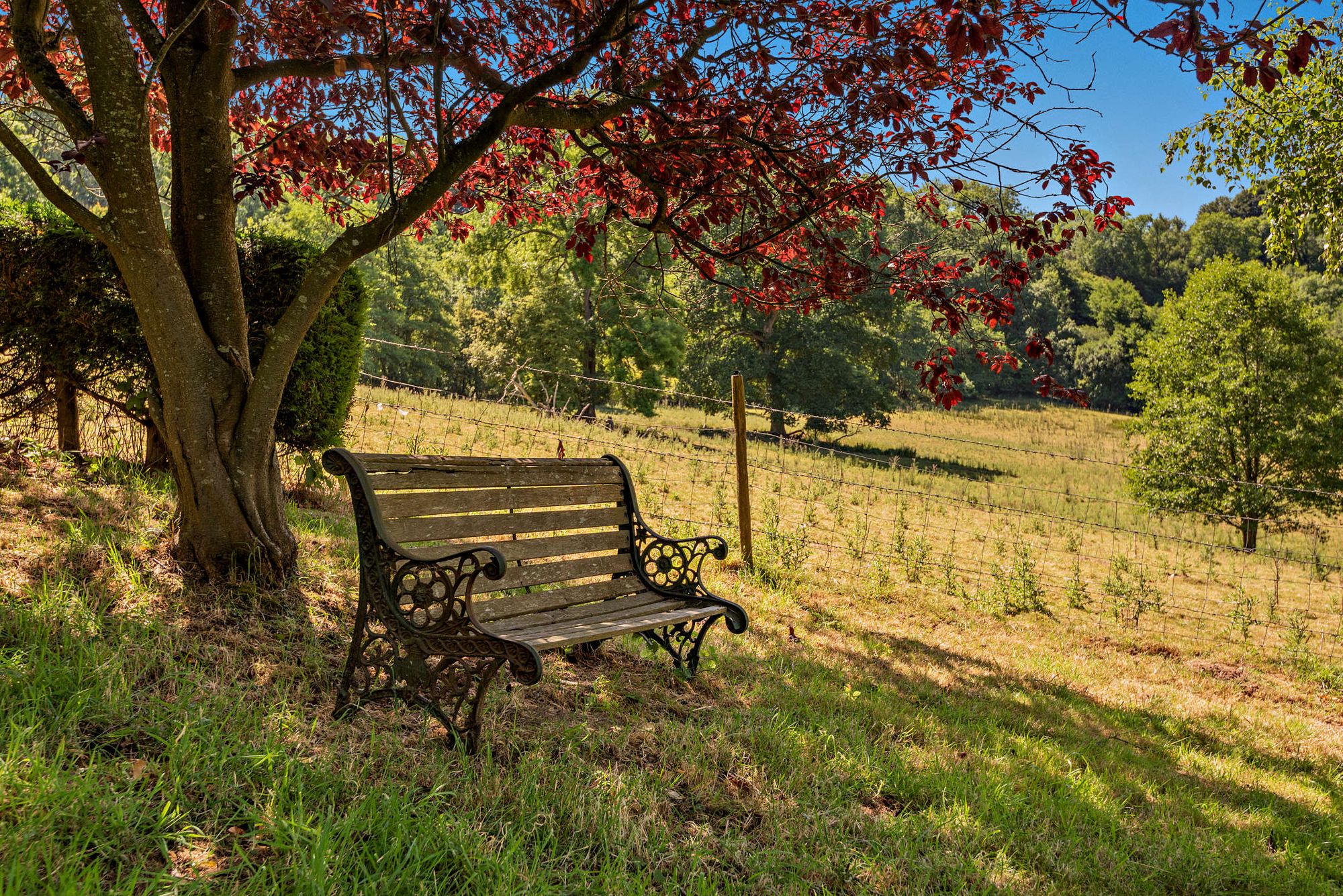 4 bed semi-detached house for sale in Abberley, Worcester, WR6 29