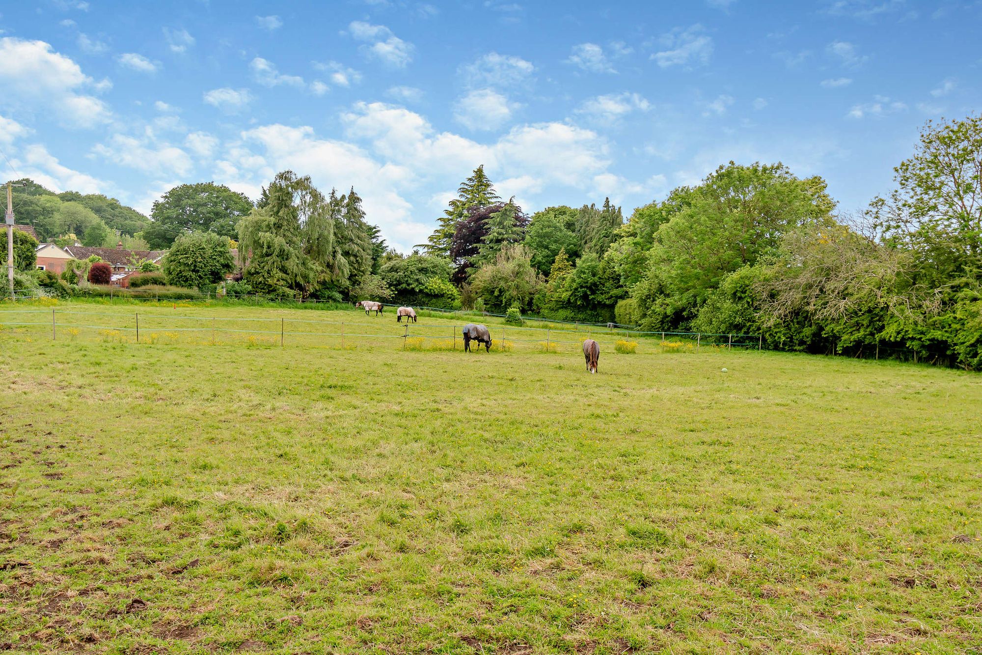 Equestrian facility for sale in Malvern Road, Malvern  - Property Image 27