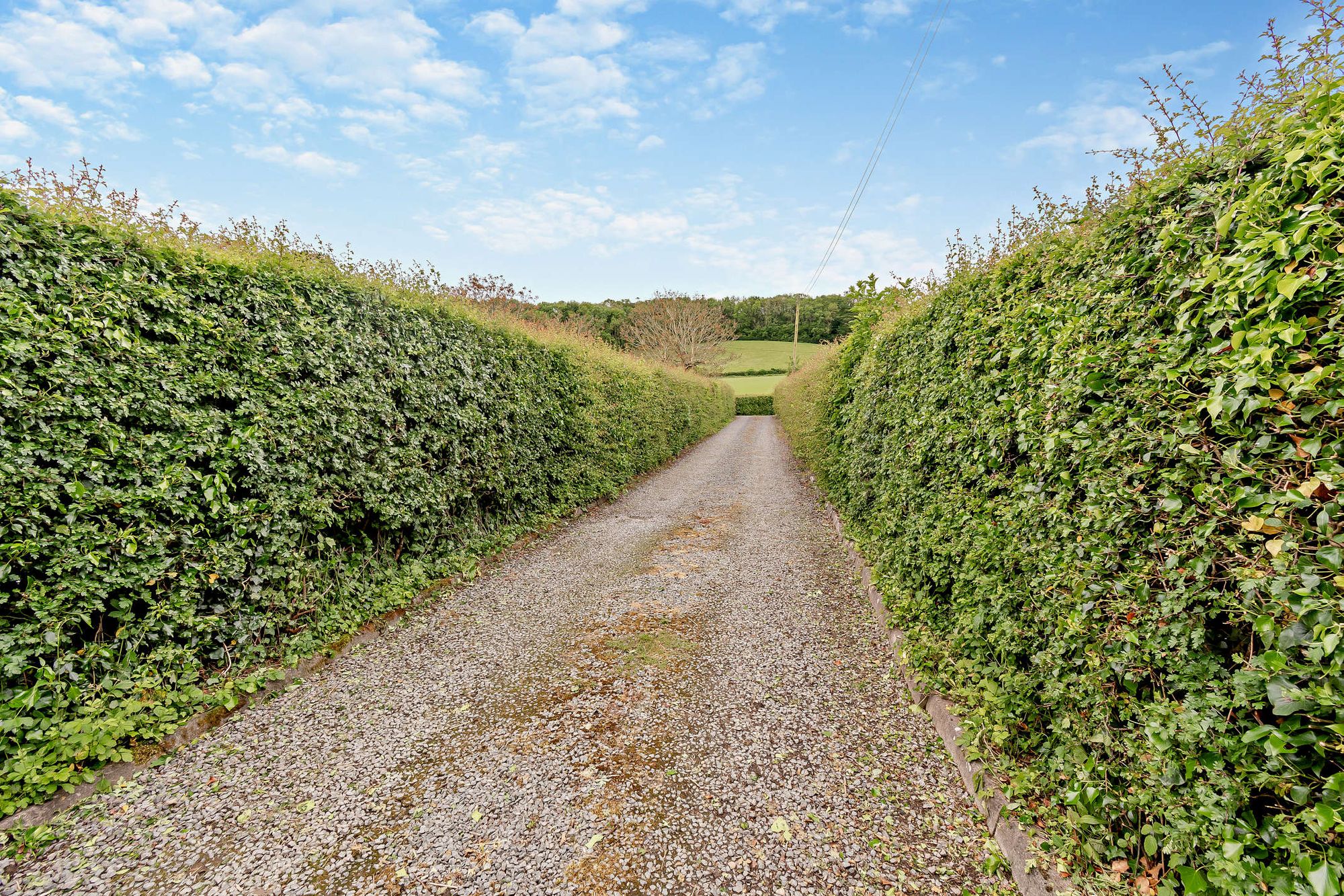 Equestrian facility for sale in Malvern Road, Malvern  - Property Image 31