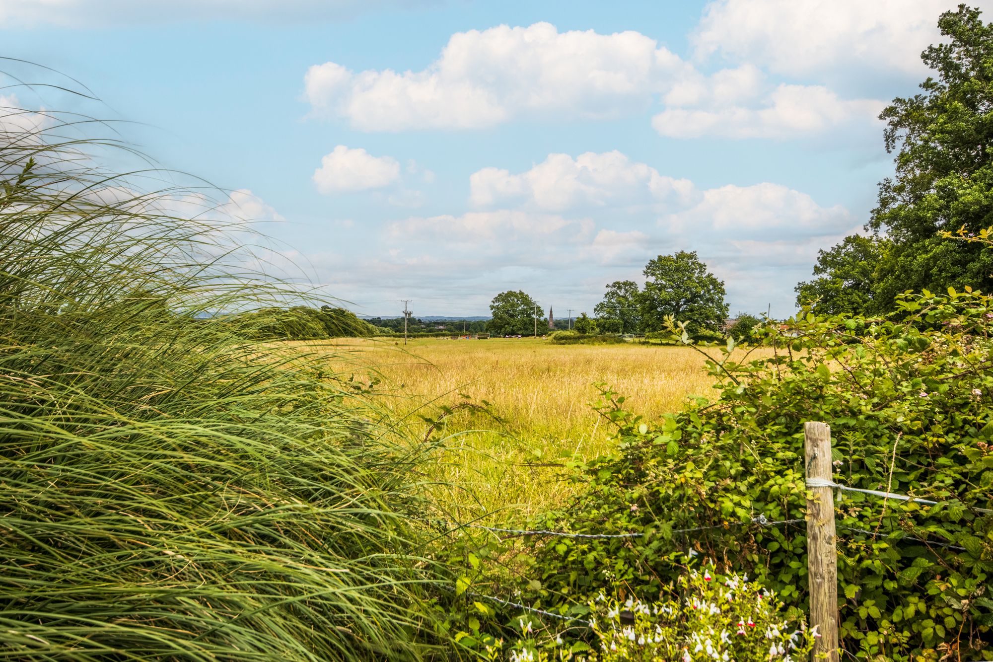4 bed semi-detached house for sale in Jacomb Close, Lower Broadheath, WR2 17