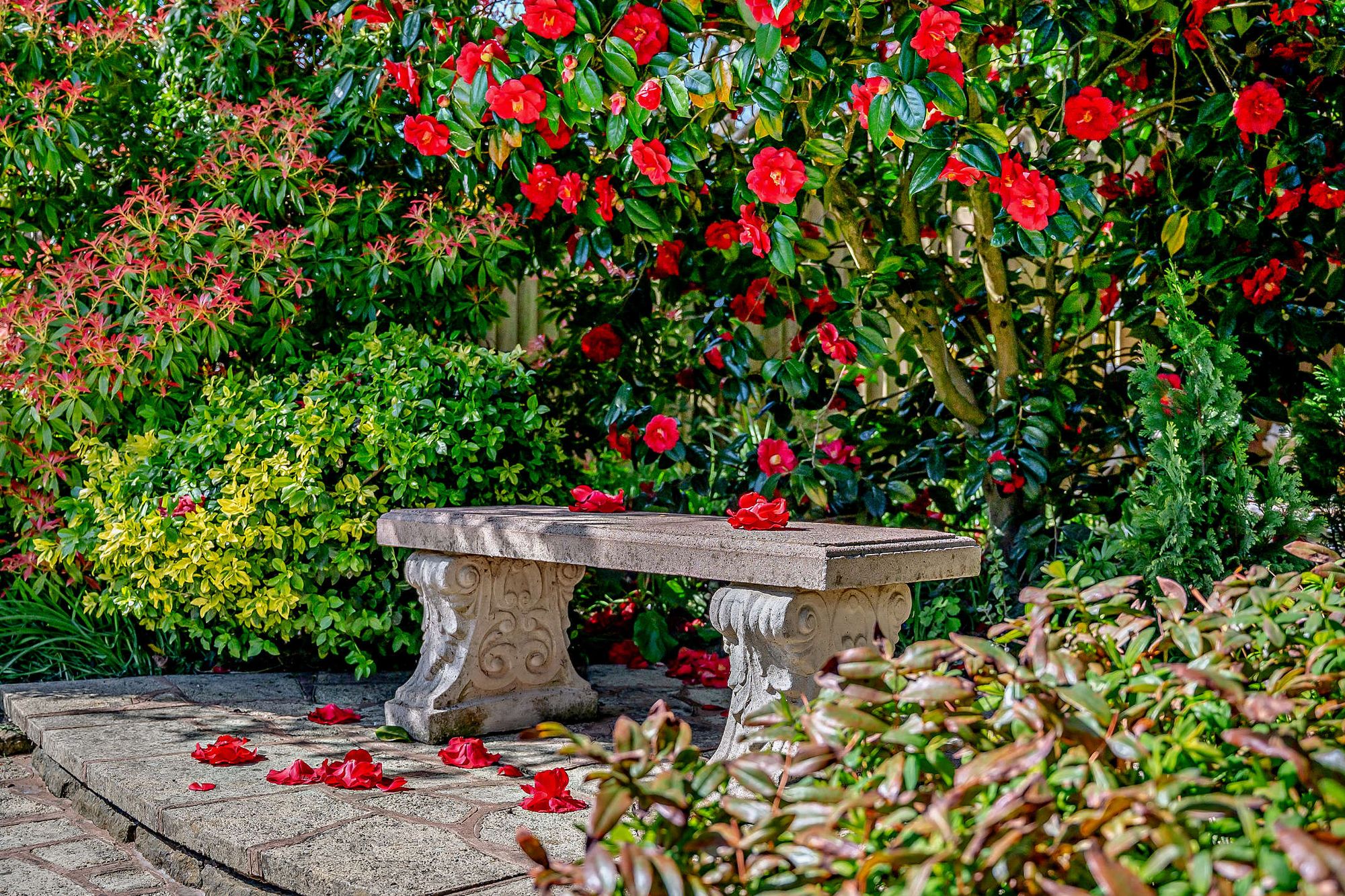 3 bed detached house for sale in Walker Avenue, Stourbridge, DY9 31