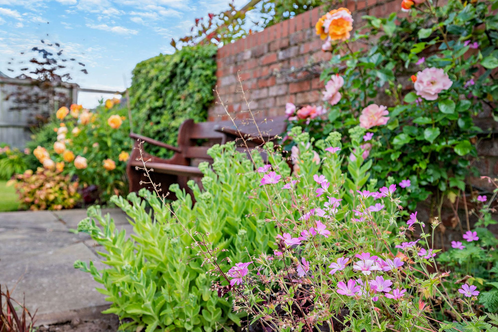 2 bed detached bungalow for sale in Astwood Lane, Feckenham, B96 31