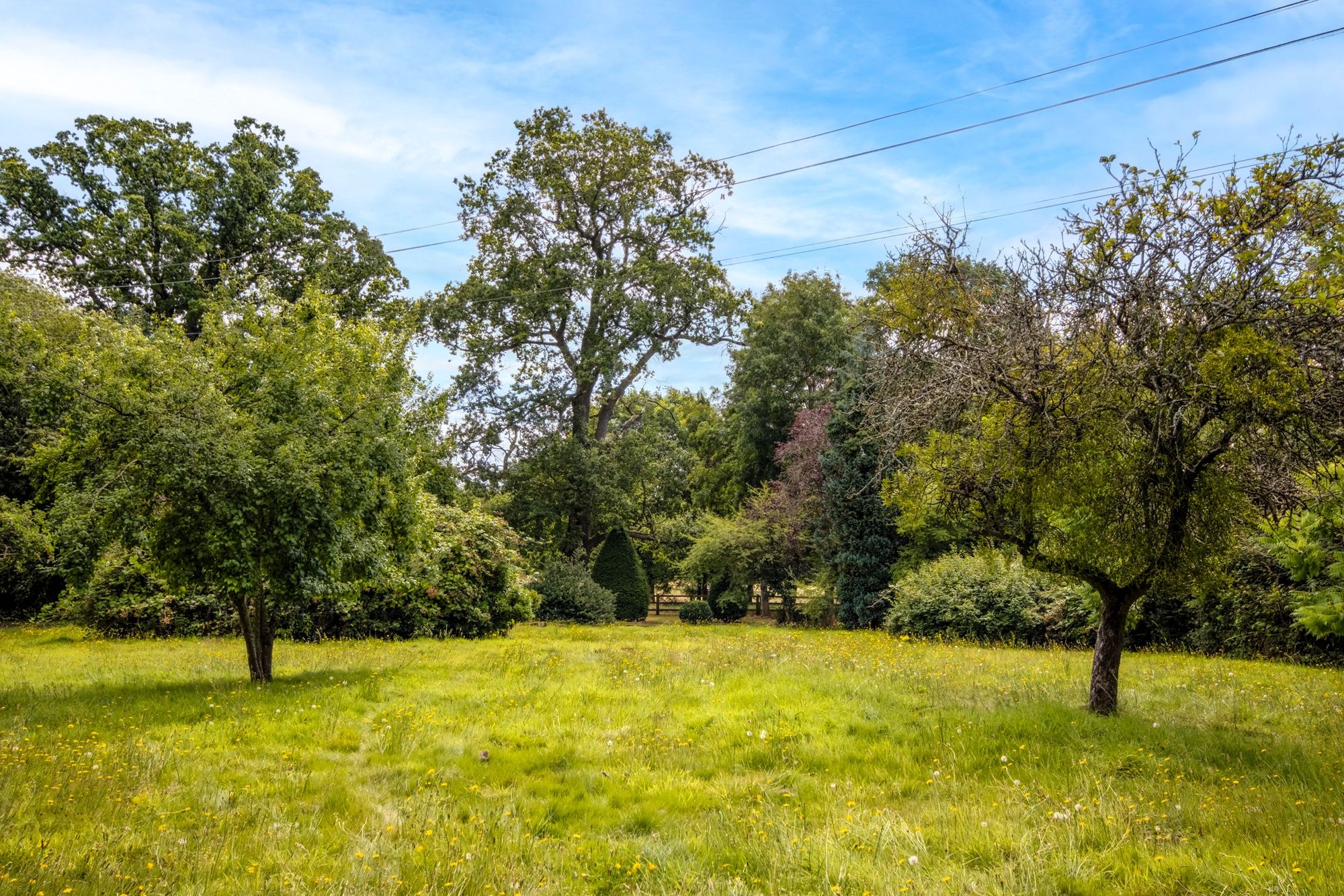 4 bed detached house for sale in Shrawley, Worcester  - Property Image 18