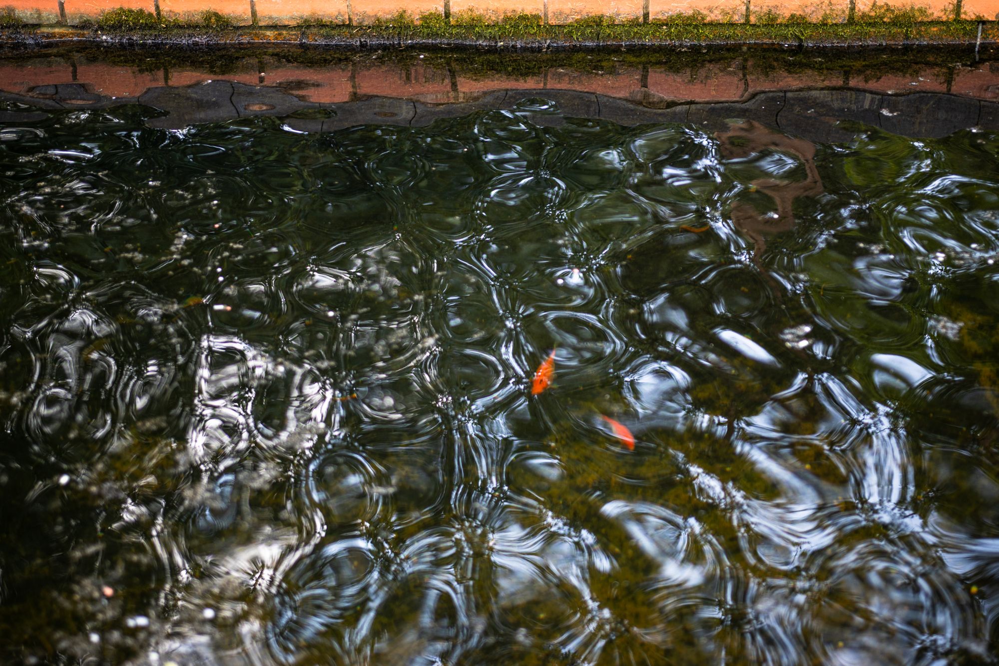 4 bed house for sale in Brown Heath Lane, Newland, WR9  - Property Image 21