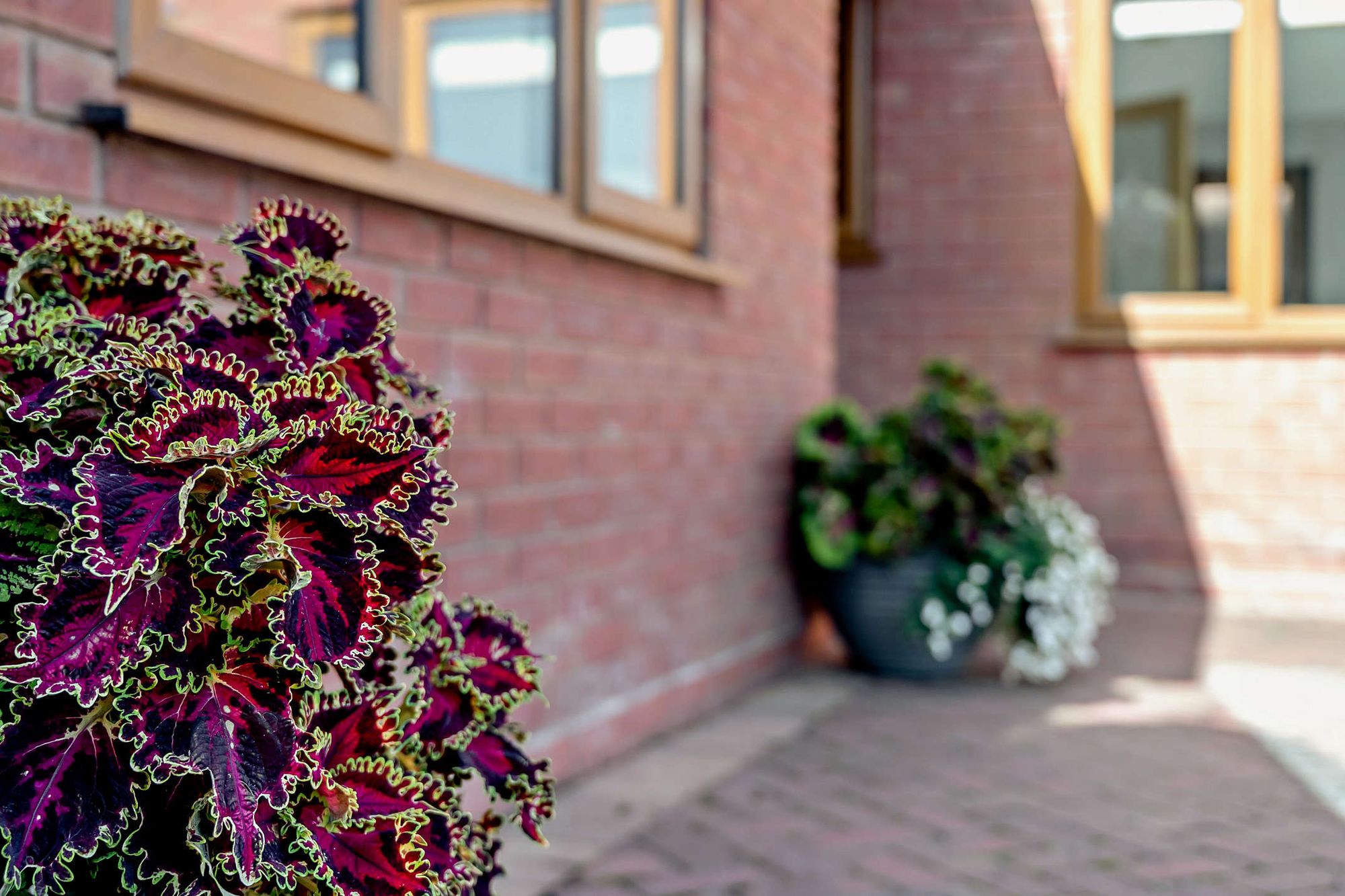 5 bed detached house for sale in Hatfield, Norton, WR5  - Property Image 12