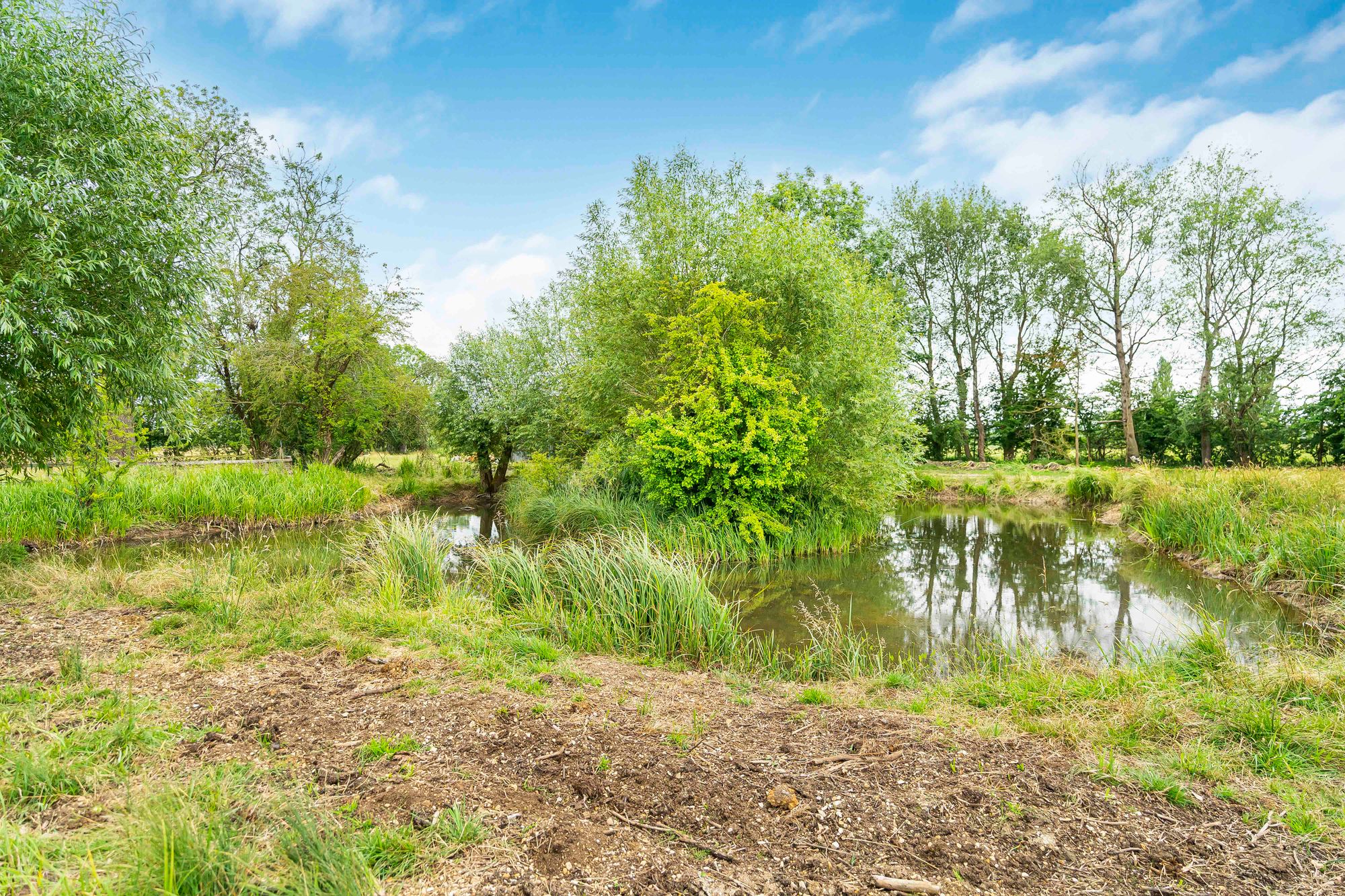 6 bed house for sale in Northmoor, Witney  - Property Image 86