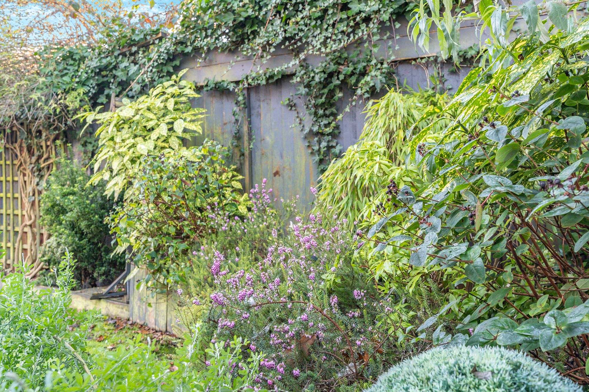 6 bed for sale in Mayfield Road, Moseley, B13 24