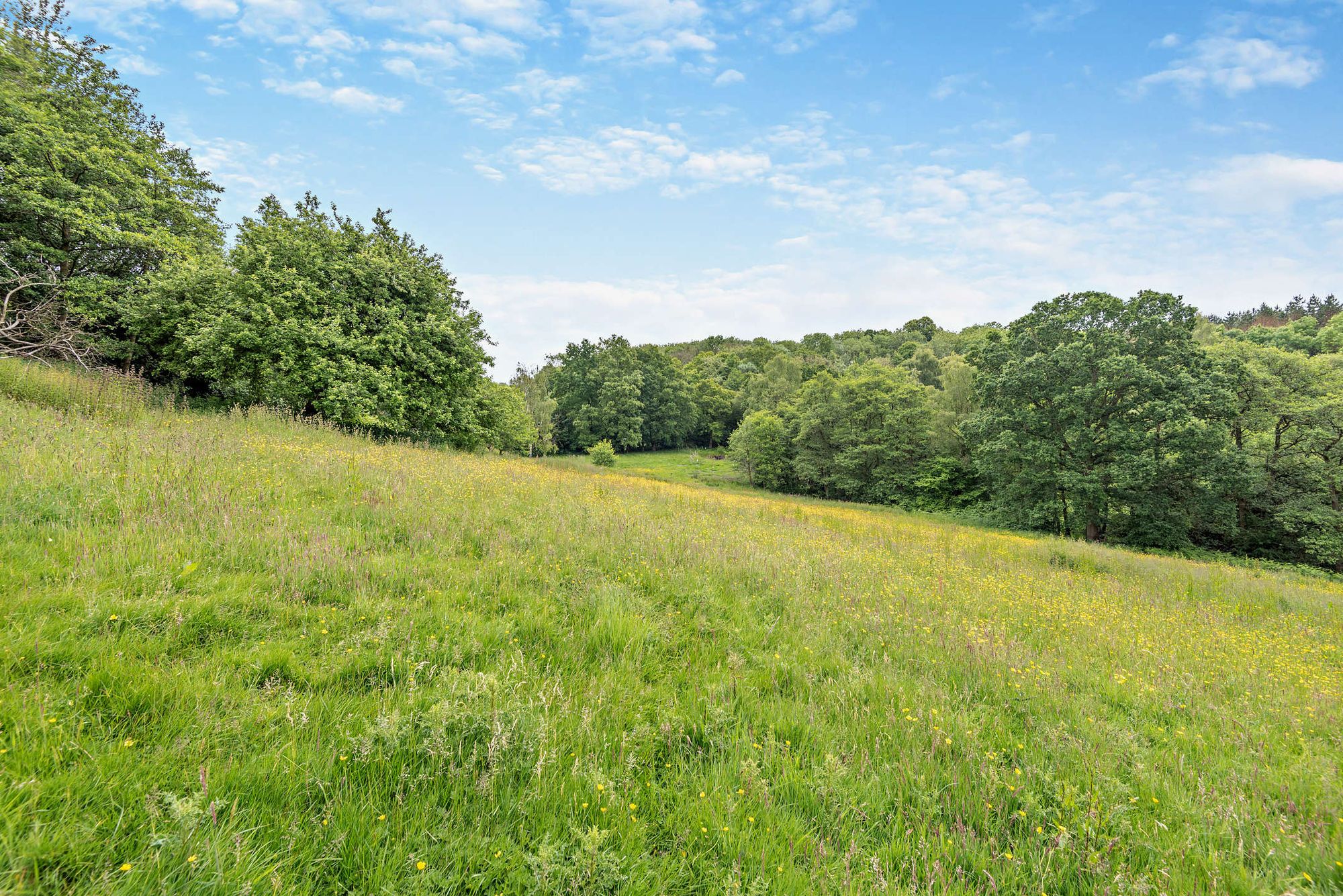 3 bed farm house for sale in Mamble, Kidderminster  - Property Image 33