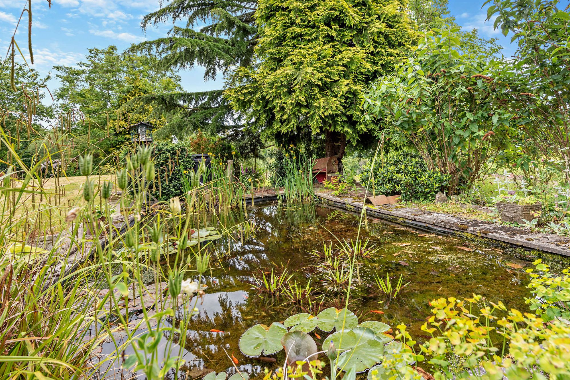 3 bed farm house for sale in Mamble, Kidderminster, DY14 20