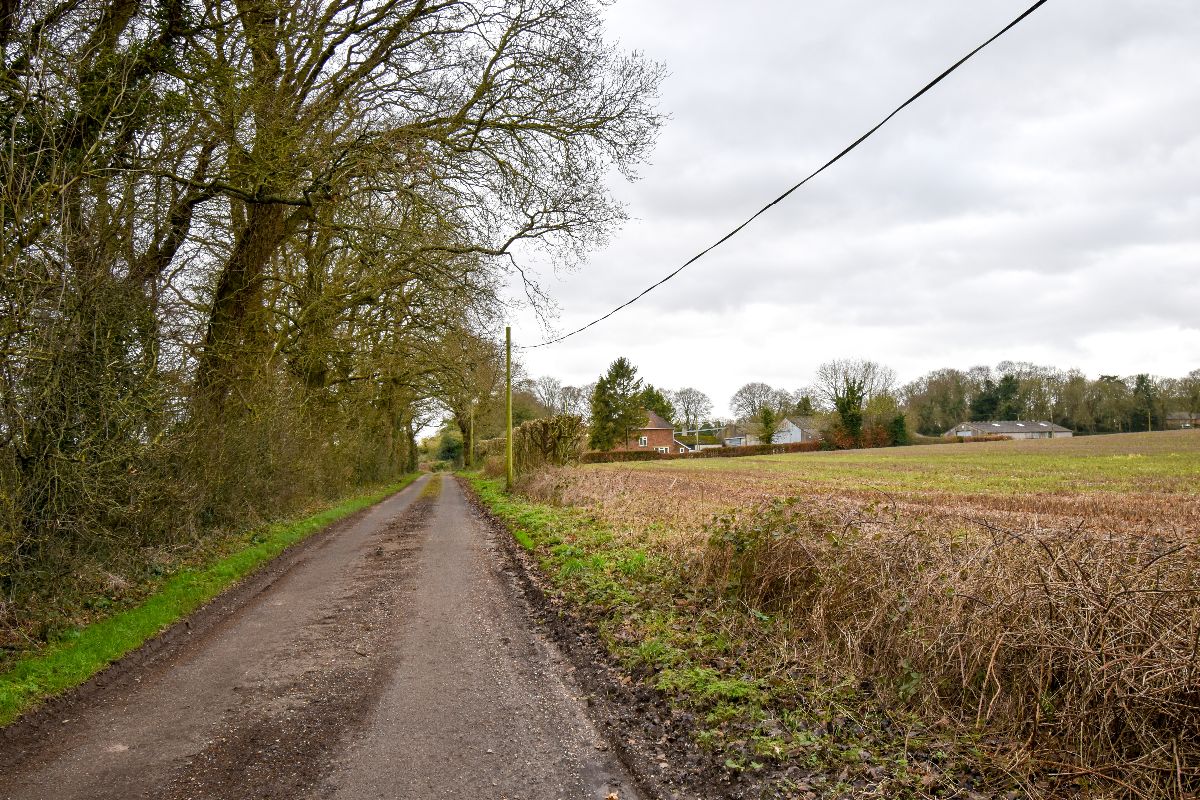 3 bed detached house to rent in Rockbourne, Fordingbridge 15
