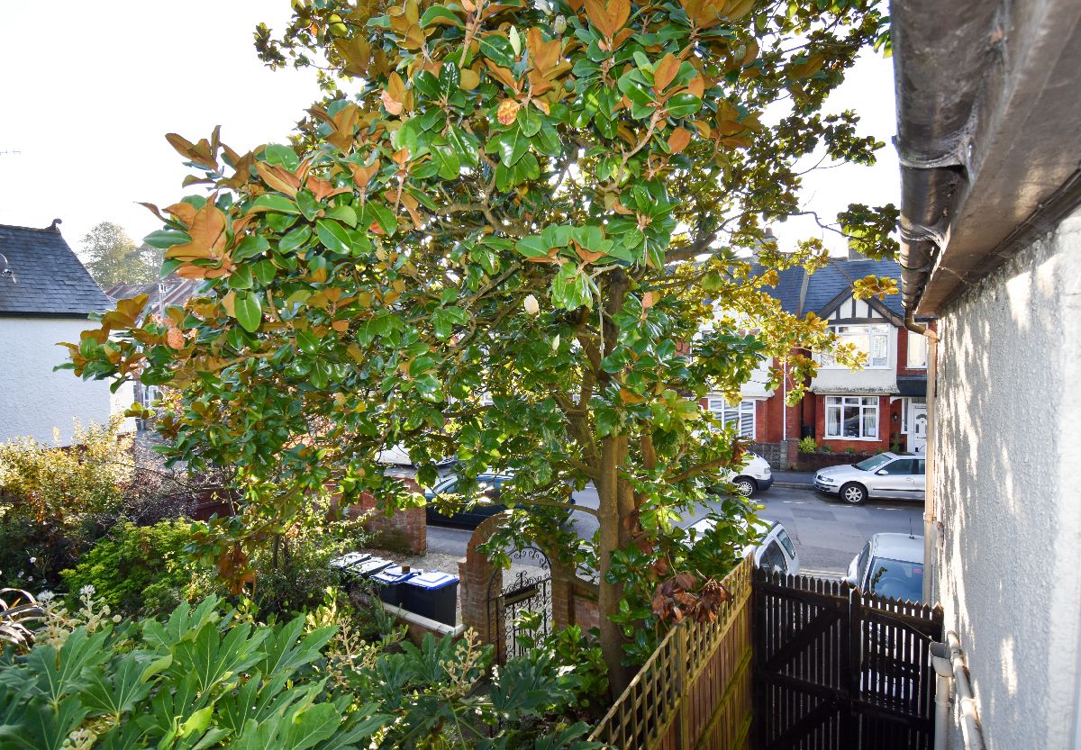 2 bed flat to rent in Belle Vue Road, Salisbury 10