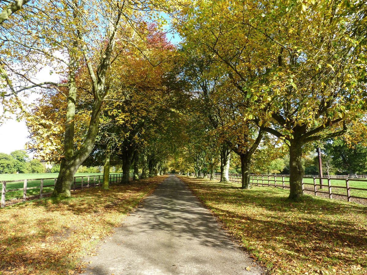 3 bed character property to rent in Clarendon Park, Salisbury 2
