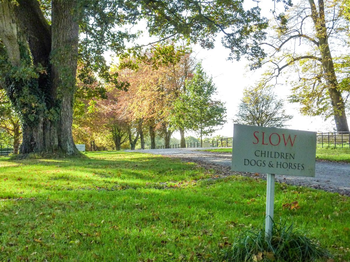 3 bed character property to rent in Clarendon Park, Salisbury 19