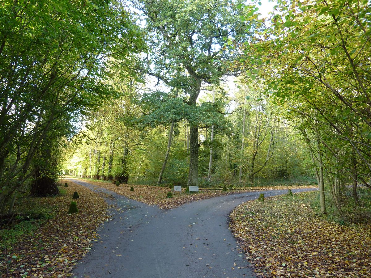 3 bed character property to rent in Clarendon Park, Salisbury 17