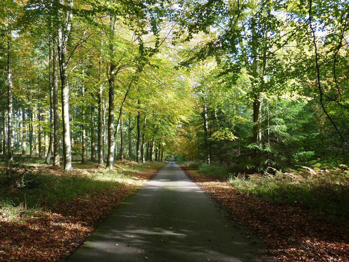3 bed character property to rent in Clarendon Park, Salisbury 18