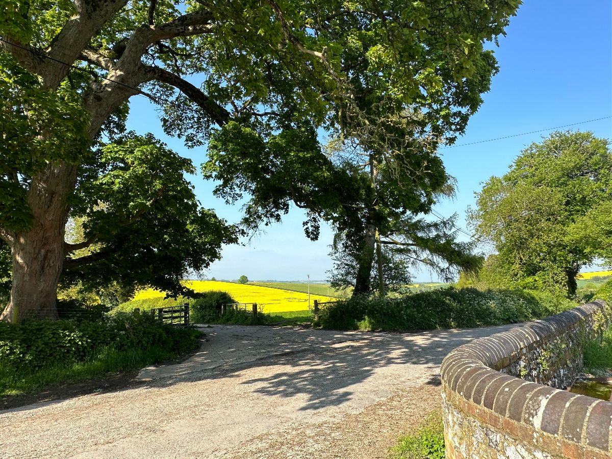 3 bed character property to rent in Back Lane, Bowerchalke, Salisbury 24