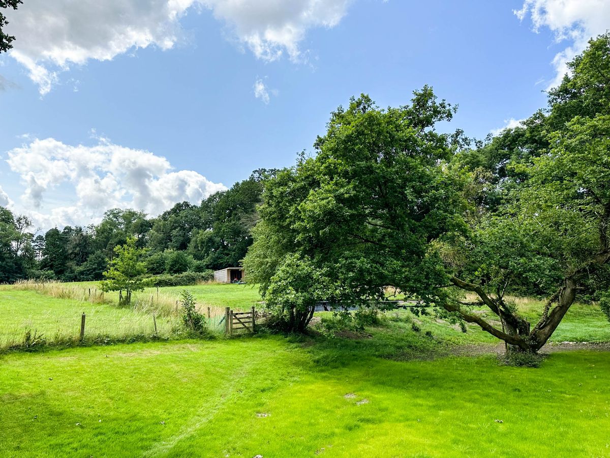 2 bed bungalow to rent in Church Lane, Salisbury 3