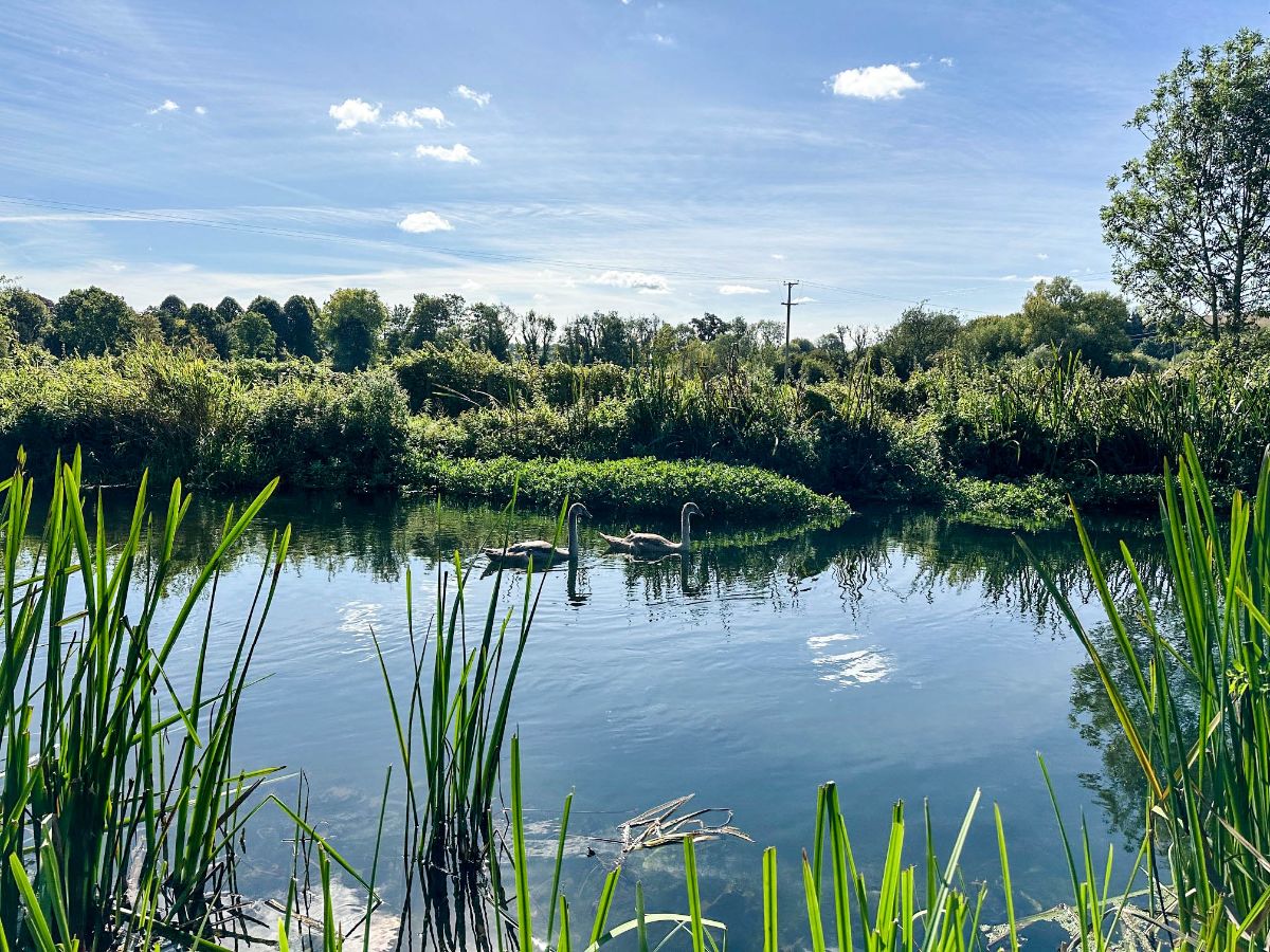 1 bed studio flat to rent in Middle Woodford, Salisbury 7