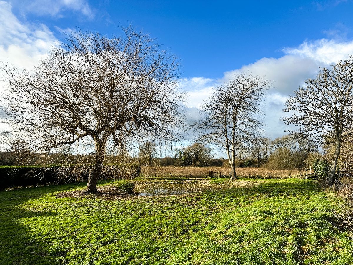 4 bed detached house to rent in Fisherton De La Mere, Warminster  - Property Image 24