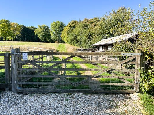 1 bed bungalow to rent in The Street, Chilmark 3